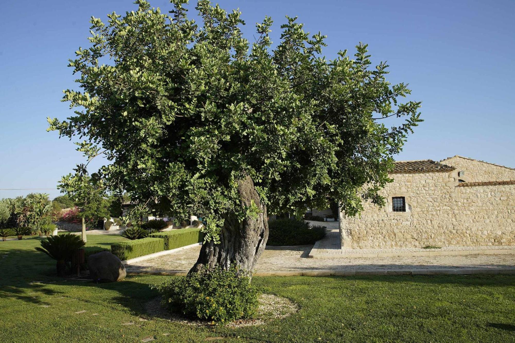 Torre Dantona Country Suites Pozzallo Exteriör bild